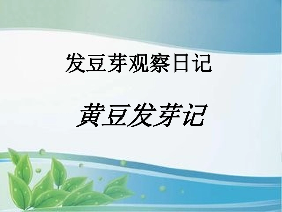 发豆芽观察日记_第1页