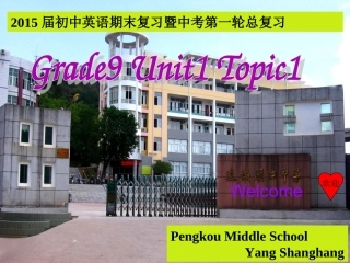 2015年初中英语总复习导学案1