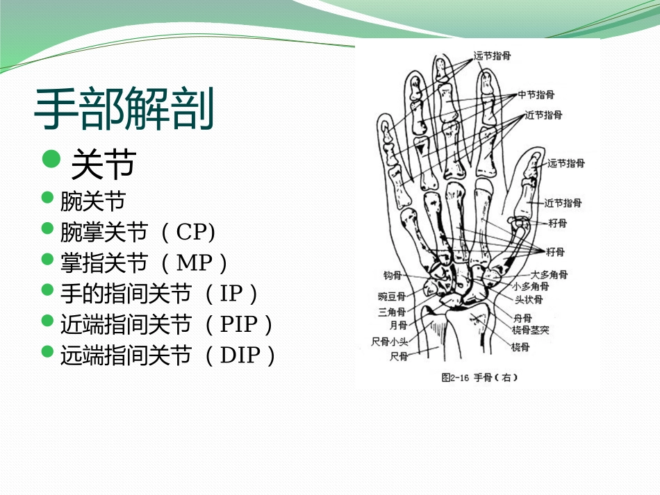 手功能的康复_第3页