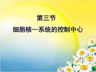 细胞核的结构与功能