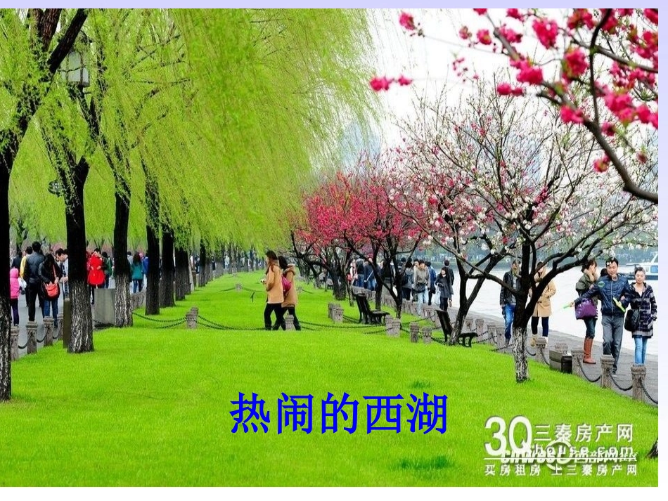 饮湖上初晴后雨ppt_第3页