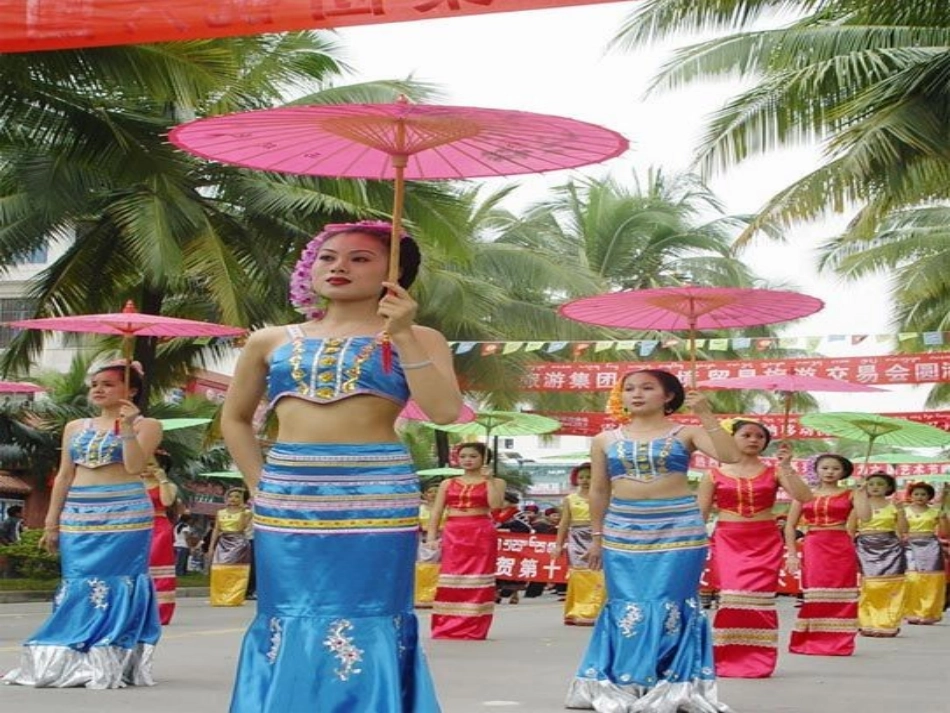 金孔雀轻轻跳课件(参赛)_第3页