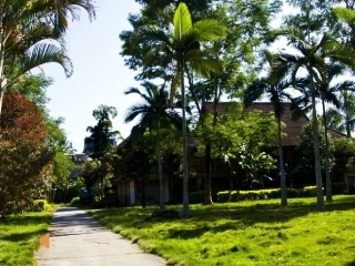 金孔雀轻轻跳课件(参赛)