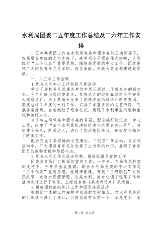 水利局团委二五年度工作总结及二六年工作安排 