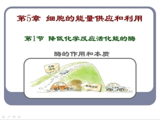 新人教版必修1高中生物降低化学反应活化能的酶 ppt