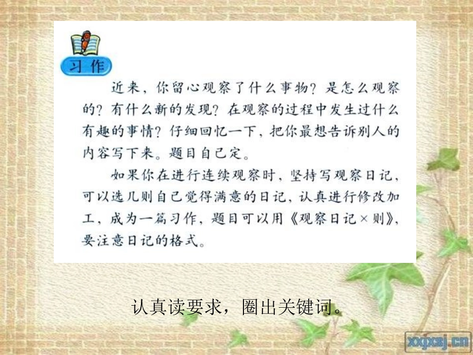 四年级上册第二单元作文《观察中的发现》_第1页