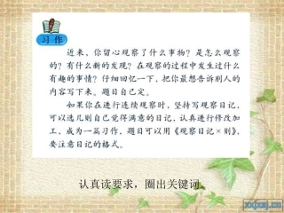 四年级上册第二单元作文《观察中的发现》