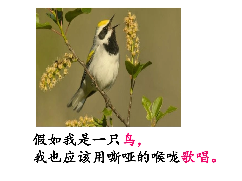 诗朗诵我爱这土地PPT_第2页