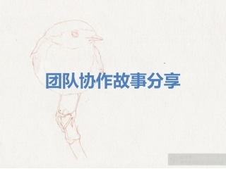 团队协作故事分享