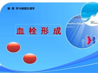血栓的形成说课-杨学艳