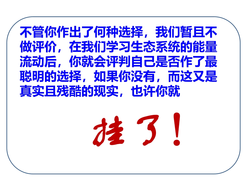 生态系统的能量流动ppt_第3页