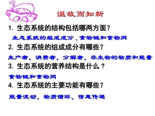 生态系统的能量流动ppt