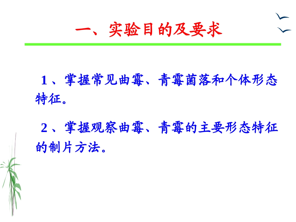 实验四    曲霉和青霉的形态观察_第2页