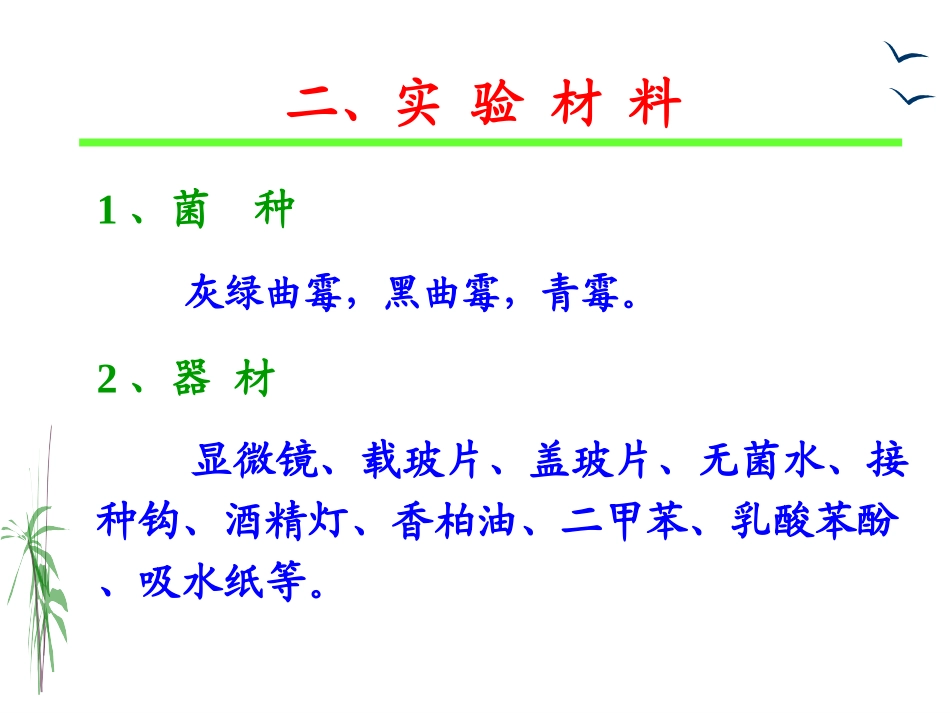 实验四    曲霉和青霉的形态观察_第3页