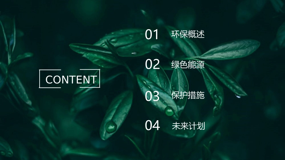 绿色环保PPT模板_第2页