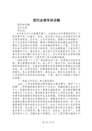 团代会领导讲话稿