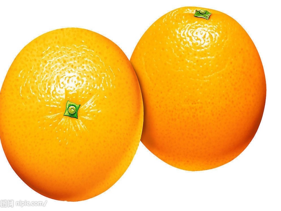 人教版四年级观察作文桔子_第3页