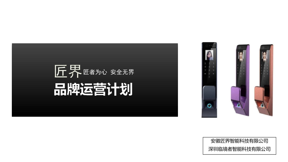 匠界天猫入驻开店品牌运营规划  实例_第1页