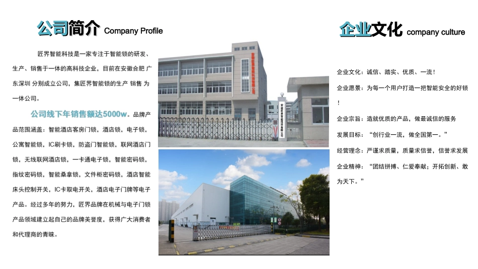 匠界天猫入驻开店品牌运营规划  实例_第3页