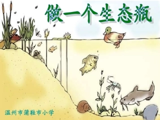 教科版科学五年级上册《做一个生态瓶》PPT课件1