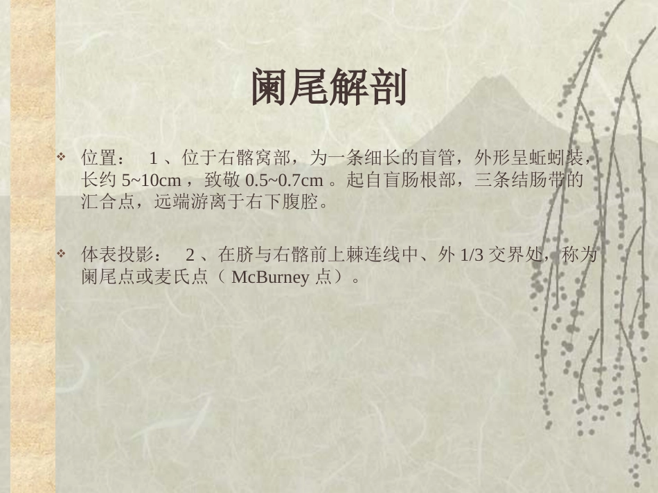 普通外科-阑尾炎_第3页