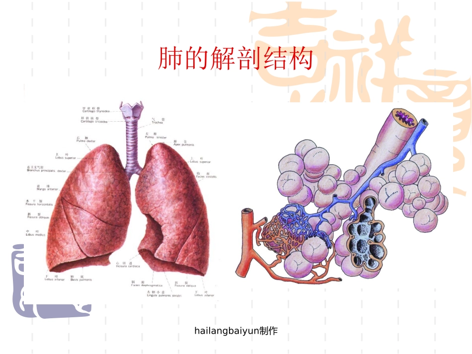 肺功能基础理论_肺功能仪基础理论_第2页