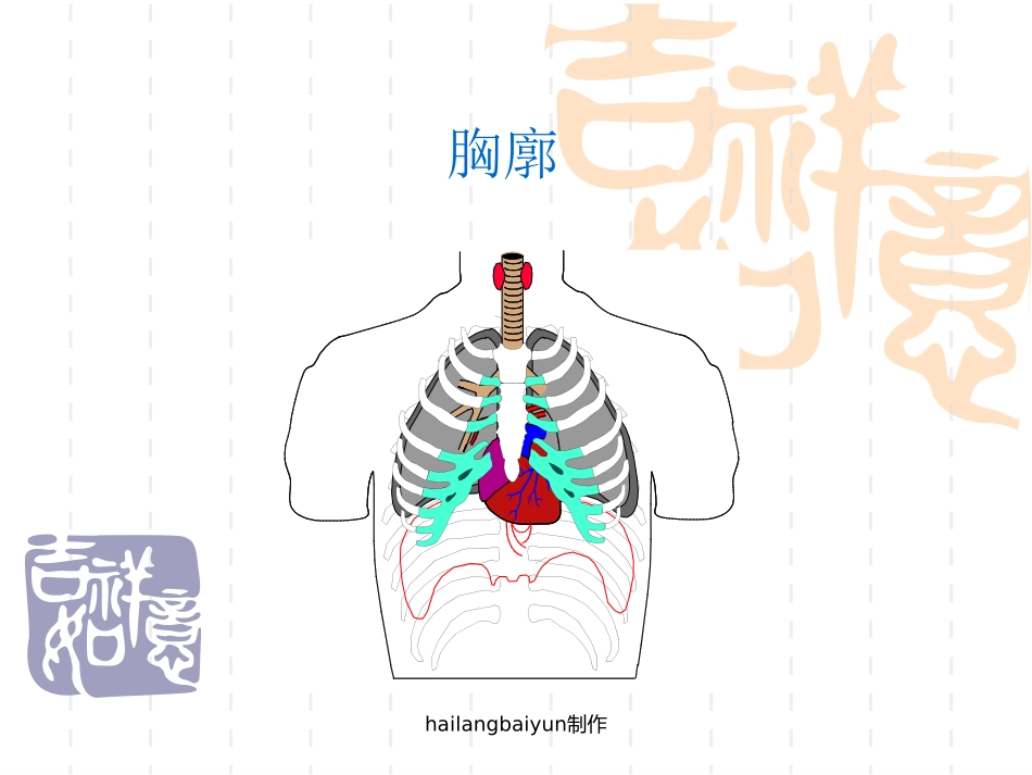 肺功能基础理论_肺功能仪基础理论_第3页