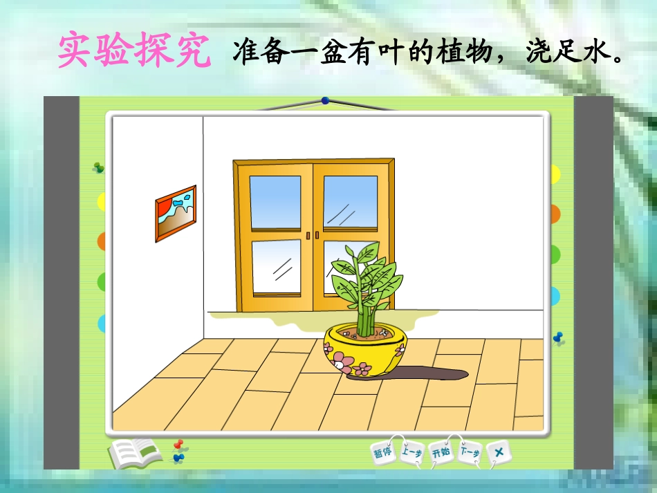 青岛版四年级科学上册植物的叶(一)课件_第2页