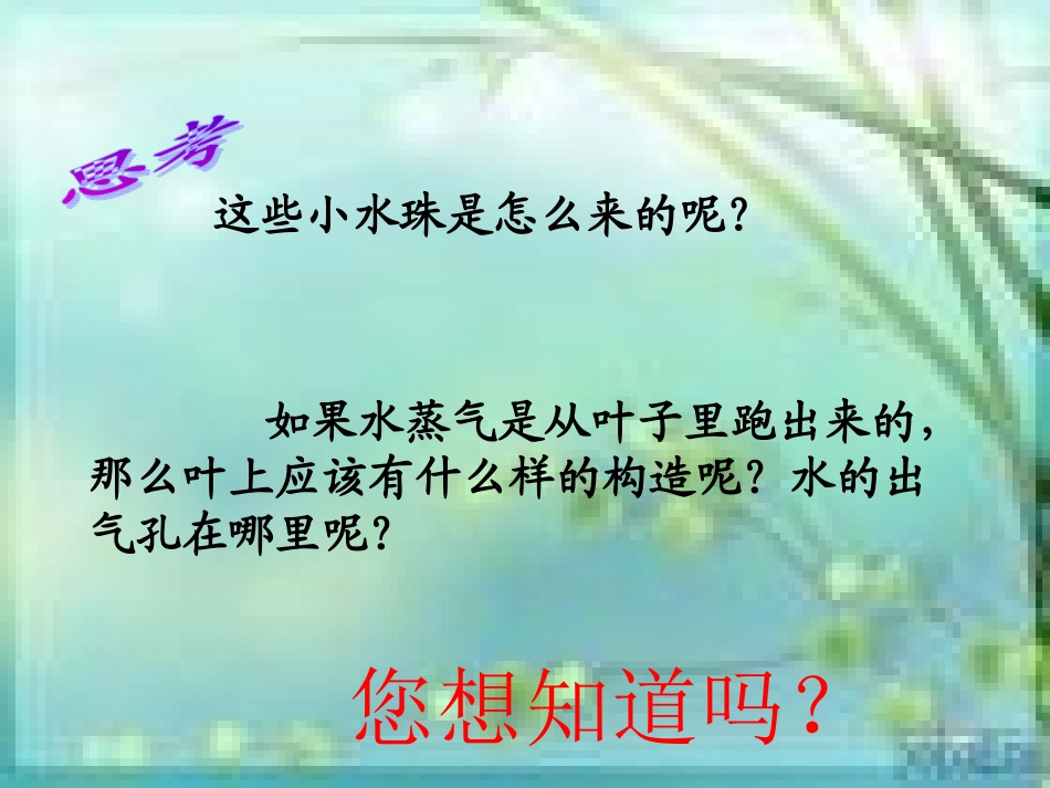 青岛版四年级科学上册植物的叶(一)课件_第3页