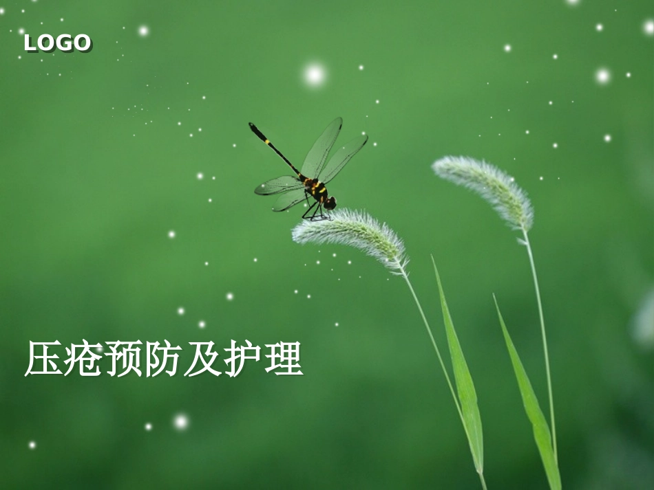 压疮的预防与护理.ppt_第1页