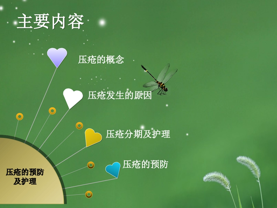 压疮的预防与护理.ppt_第2页