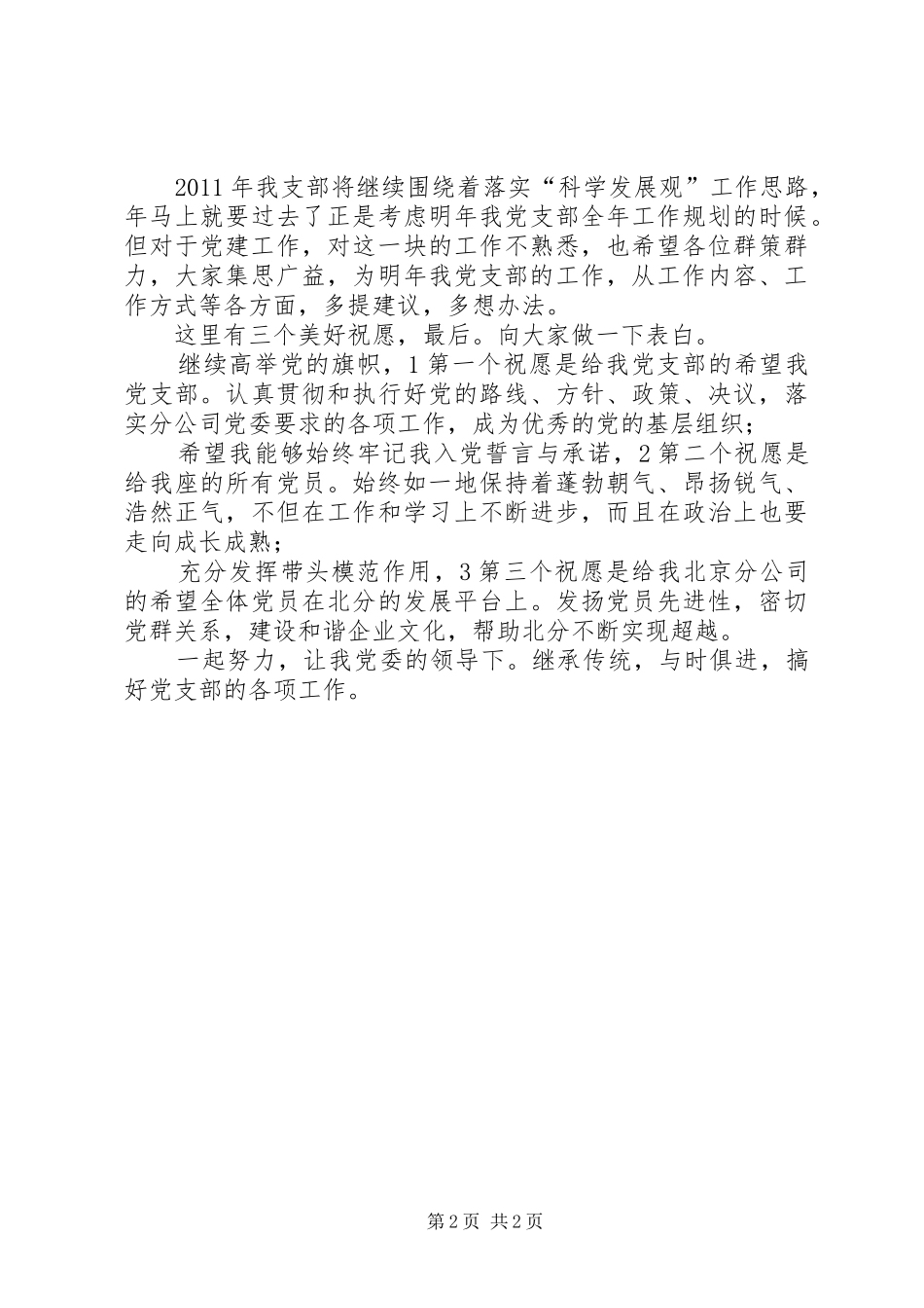 党支部书记个人任职发言_第2页