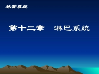 解剖学淋巴系统