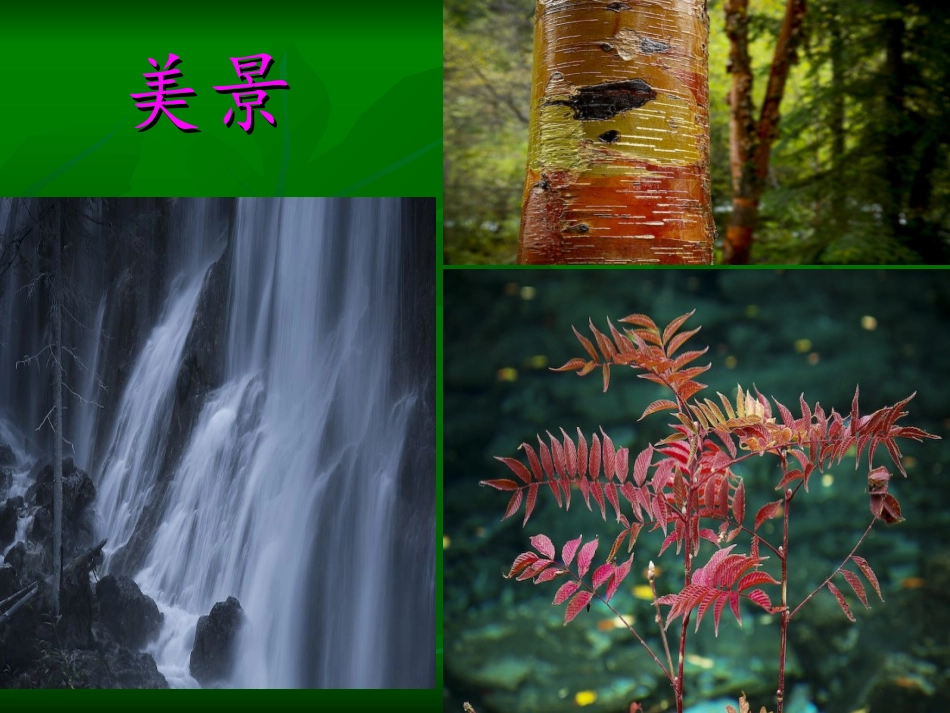 九寨沟景点ppt_第2页