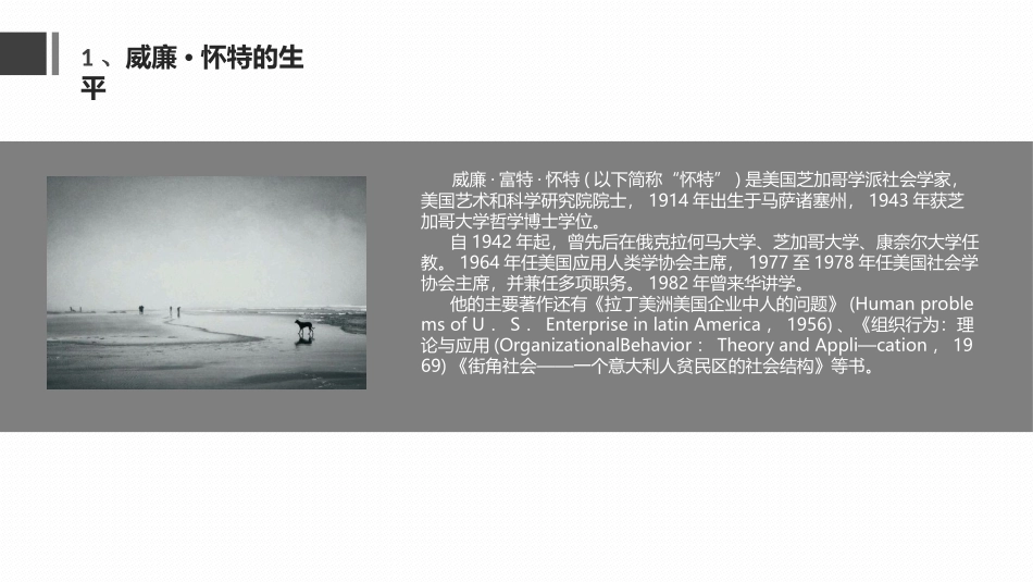 街角社会  ppt_第3页