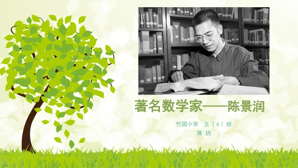 小学生数学演讲PPT---陈景润_第1页