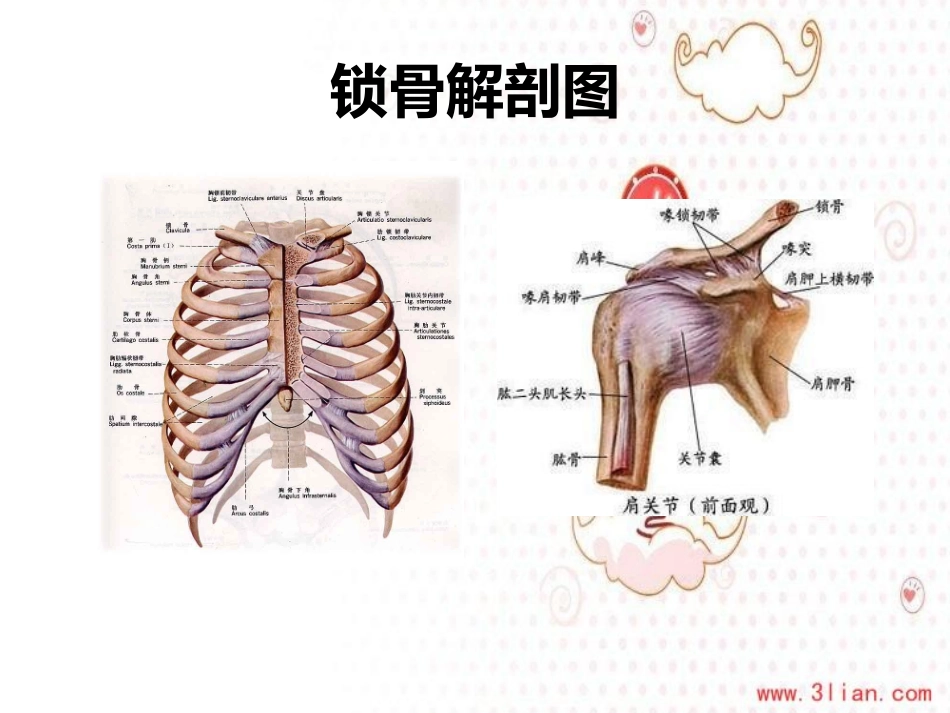 锁骨骨折护理查房_第2页