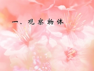 人教版数学二年级上册《观察物体》练习题