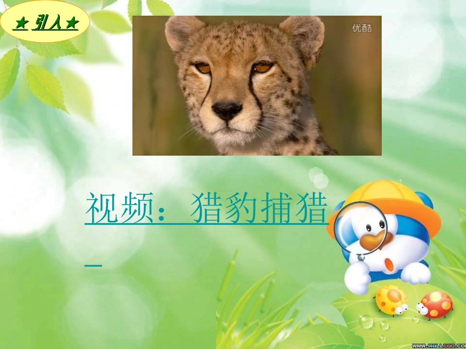 主题班会《专注是金》_第3页