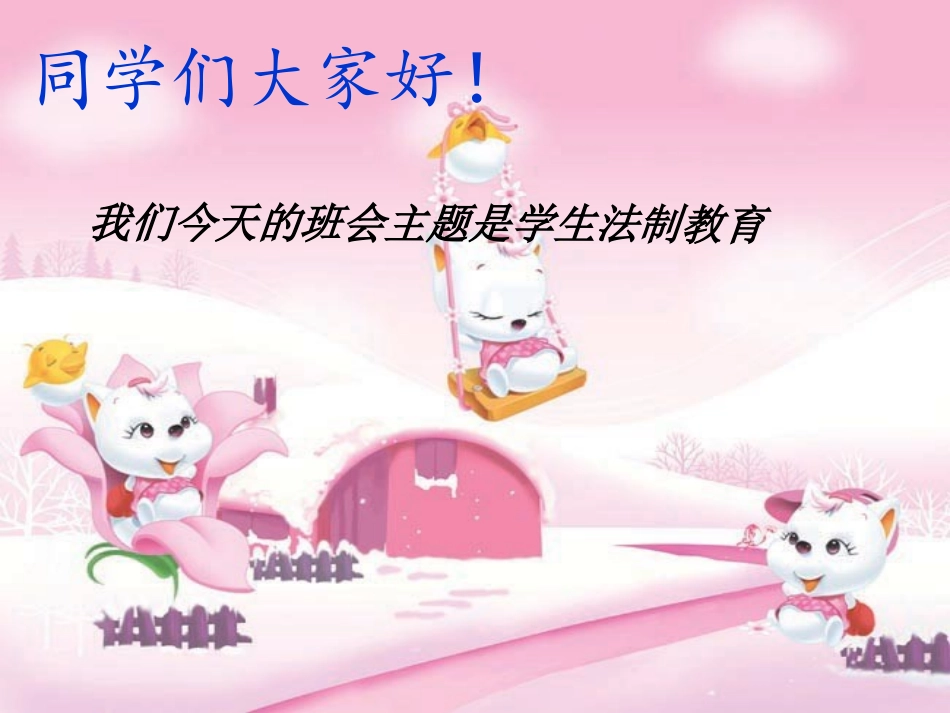 普法教育主题班会_第2页