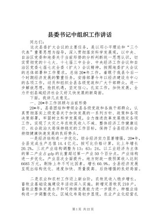 县委书记中组织工作讲话