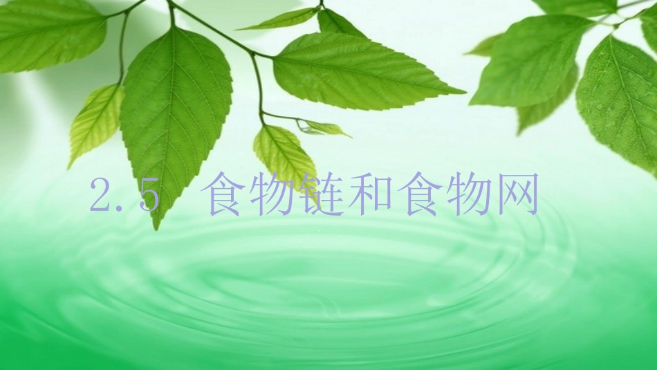 食物链和食物网.ppt_第1页