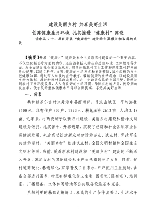 苏尔吉创建健康村工作经验交流材料(定稿)