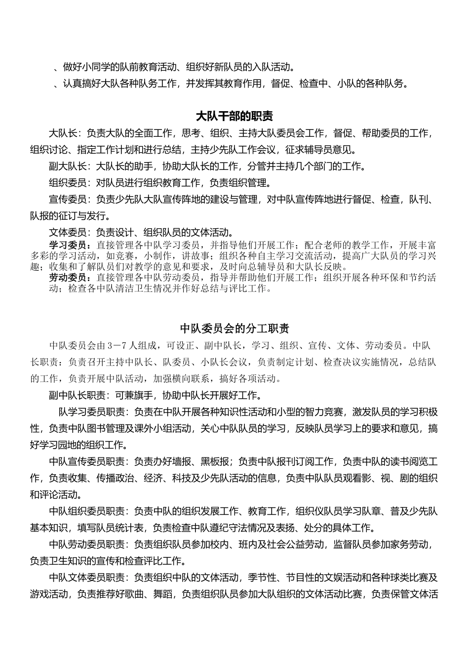 学校少先队工作管理职责_第3页