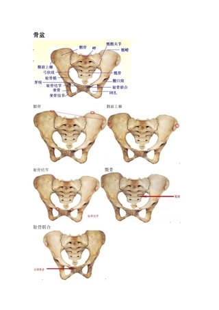 骨盆测量及记忆口诀