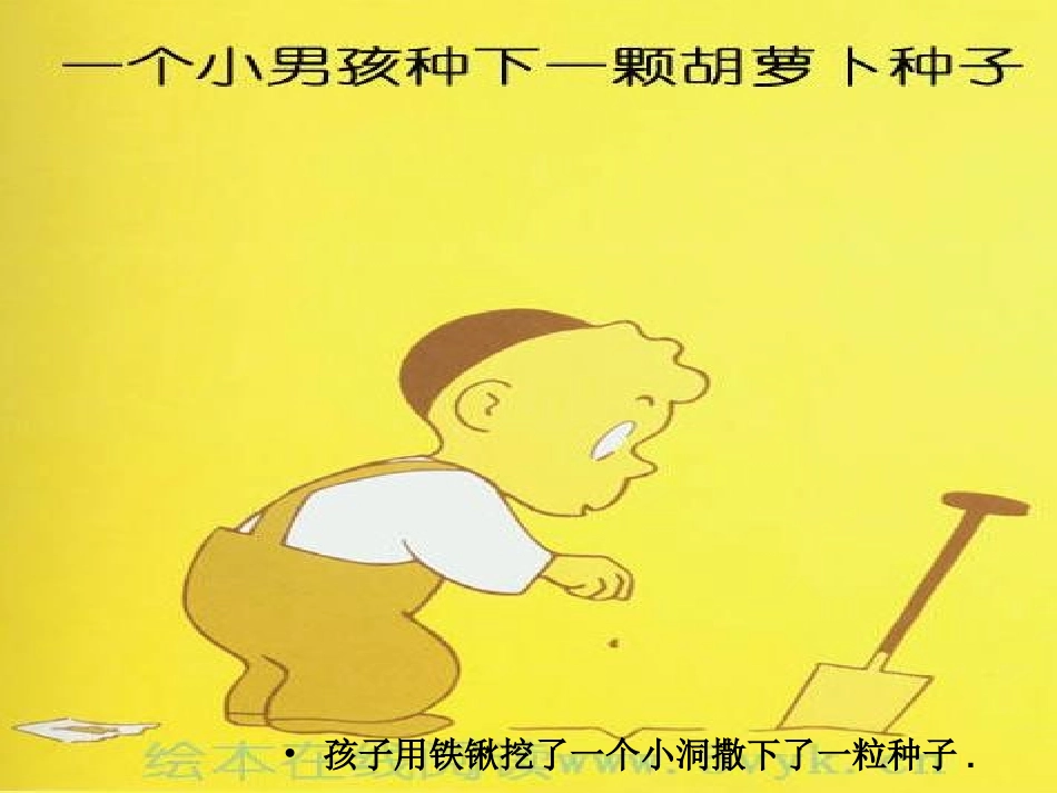 绘本胡萝卜种子_第2页