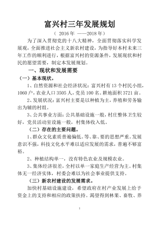 富兴村三年发展规划