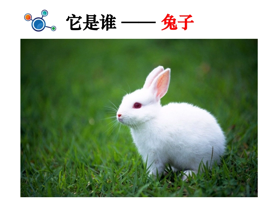 科学一年级上1.5植物是“活”的吗_第3页