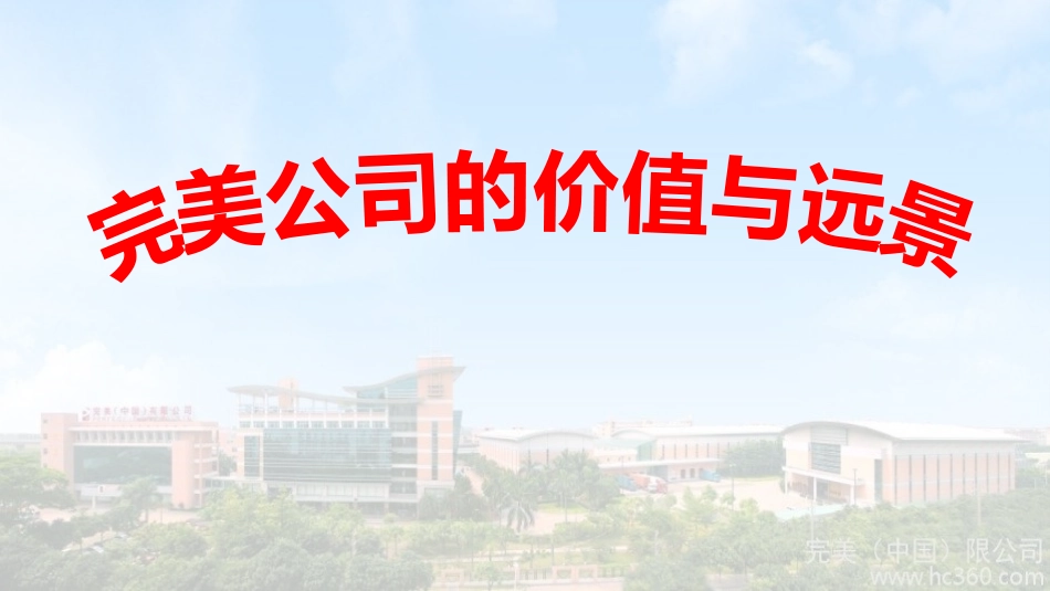 完美的价值与远景2017_第1页