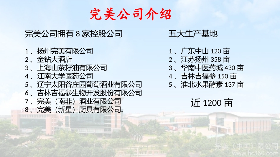 完美的价值与远景2017_第3页